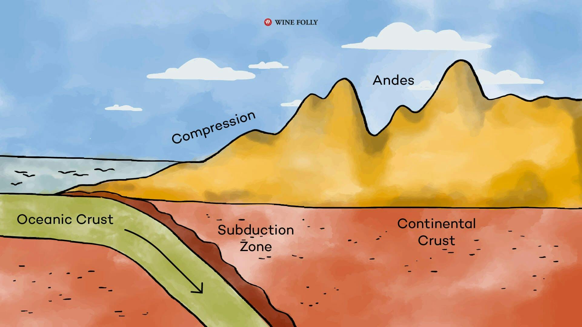 Andes Mountains created high plains for vineyards